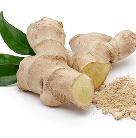 Image of Ginger